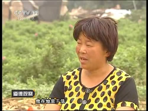 《道德觀(guān)察》愛(ài)也悠悠