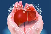 【健康解碼】轉(zhuǎn)氨酶正常肝臟就一定正常嗎？