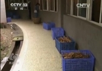 [焦點(diǎn)訪(fǎng)談]親親我的寶貝