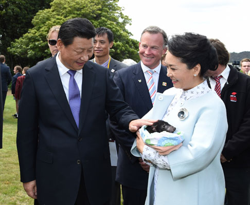 11月18日，國家主席習(xí)近平在澳大利亞塔斯馬尼亞州與朗塞斯頓市斯科奇－歐克伯恩小學(xué)的小學(xué)生共同植樹。這是習(xí)近平和夫人彭麗媛植樹后撫摸袋獾。新華社記者 馬占成 攝