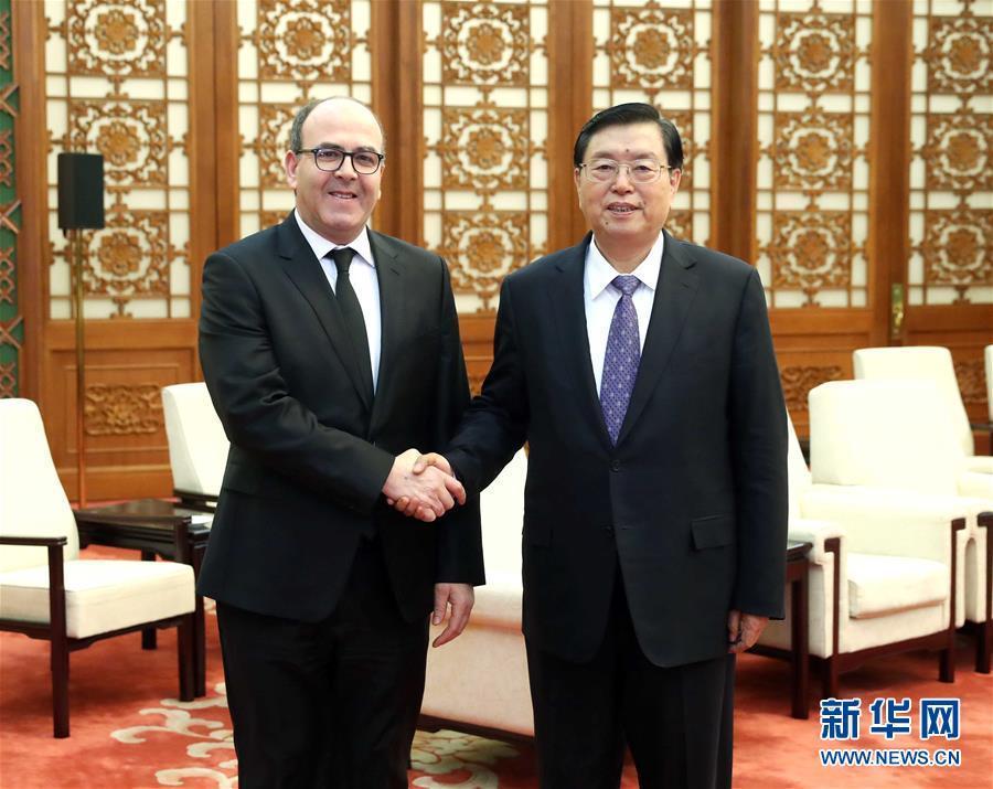 12月20日，全國人大常委會(huì)委員長張德江在北京人民大會(huì)堂會(huì)見摩洛哥參議長本希馬。新華社記者劉衛(wèi)兵攝