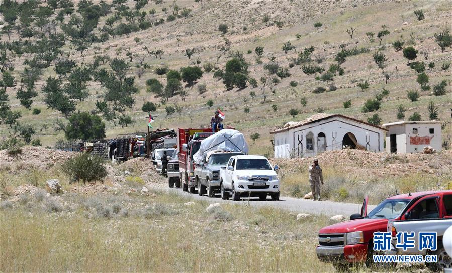 （國(guó)際&middot;圖文互動(dòng)）（5）歸鄉(xiāng)，不再流浪&mdash;&mdash;記敘利亞難民返鄉(xiāng)