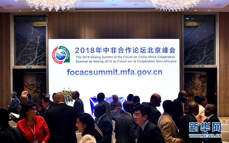 （中非合作論壇&middot;圖文互動(dòng)）（2）共筑繁榮發(fā)展的未來(lái)之橋&mdash;&mdash;中非合作論壇北京峰會(huì)前瞻