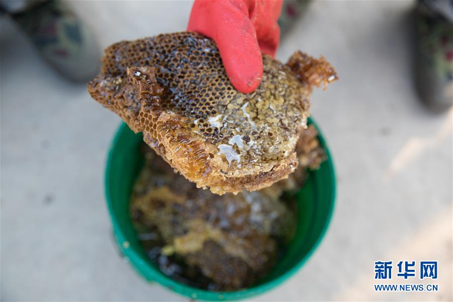 (國際·聚焦進(jìn)口博覽會·圖文互動(dòng))(7)通訊:贊比亞蜂蜜企業(yè)欲借進(jìn)博會開拓中國市場