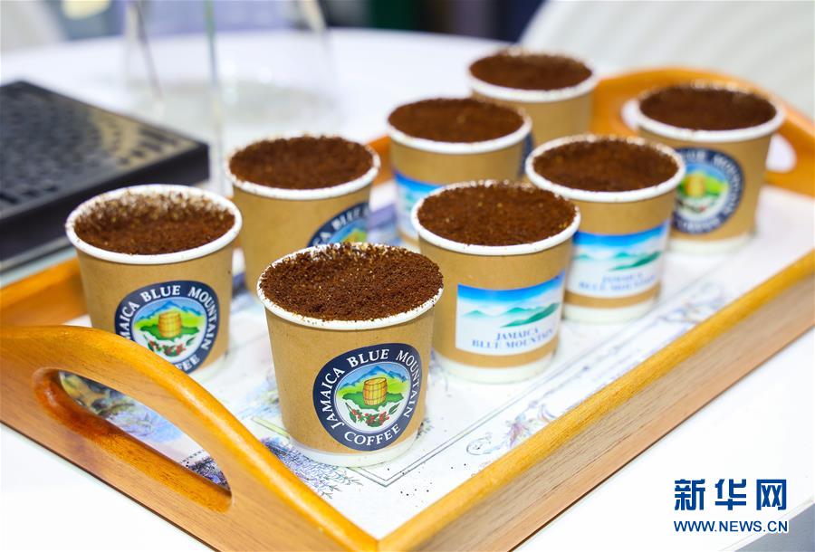 （新華全媒頭條&middot;圖文互動(dòng)）（15）人間正道 浩蕩前行&mdash;&mdash;習(xí)近平主席出席首屆中國國際進(jìn)口博覽會紀(jì)實(shí)