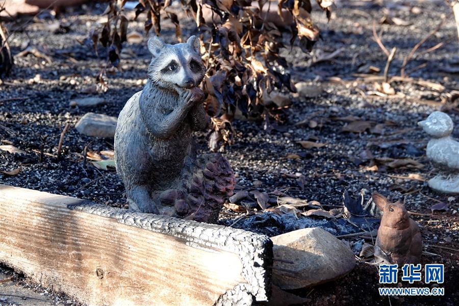 （國際&middot;圖文互動(dòng)）（4）一場(chǎng)山火，讓這個(gè)冬天格外冷&mdash;&mdash;探訪美國加州山火災(zāi)區(qū)