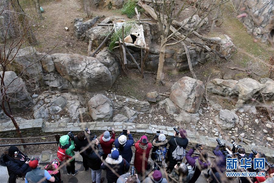 （國際&middot;圖文互動(dòng)）（6）中美建交四十年 一路風(fēng)雨總向前 