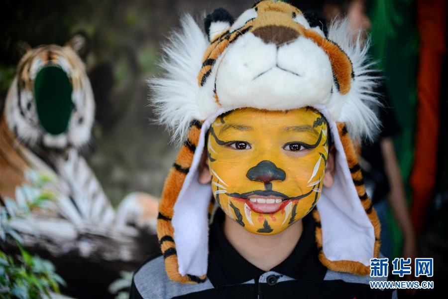 （國(guó)際）（3）馬來西亞將加強(qiáng)打擊偷獵馬來虎行為