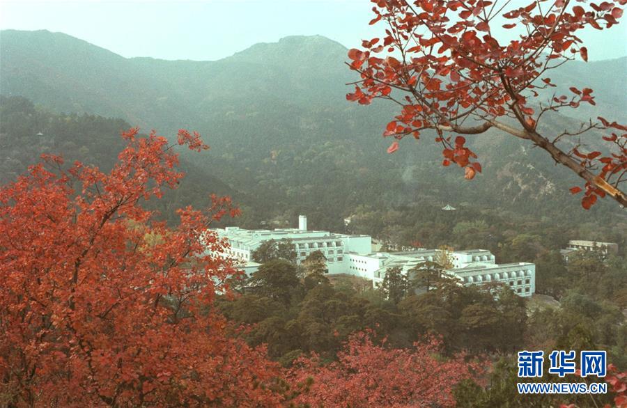 (國際·編輯連線)(9)回顧貝聿銘