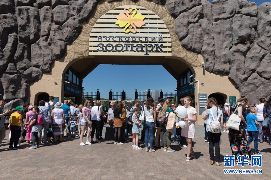 (習(xí)近平出訪配合稿·圖文互動)(1)通訊:“友誼使者”中國大熊貓入住莫斯科新家