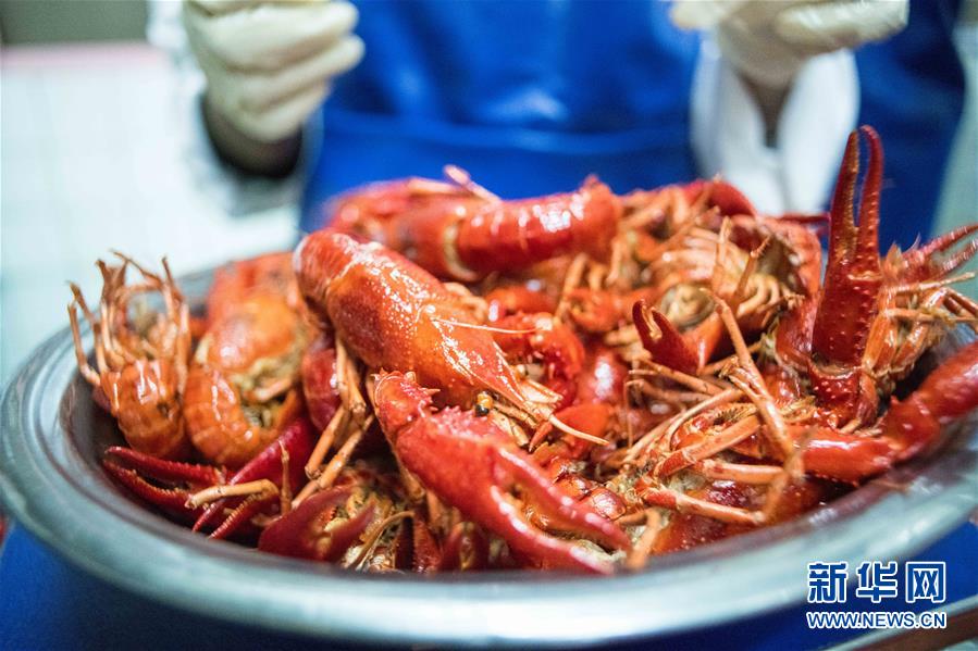 （國(guó)際&middot;圖文互動(dòng)）（1）從尼羅河畔到中國(guó)餐桌&mdash;&mdash;一只&ldquo;洋&rdquo;小龍蝦的36小時(shí)旅程