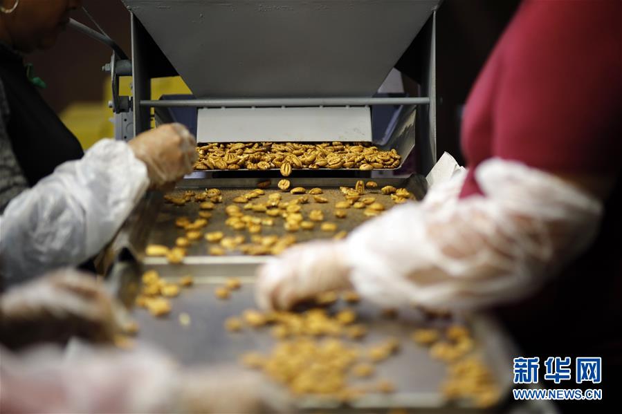 （國際&middot;圖文互動）（8）通訊：期待美中盡早達成貿(mào)易協(xié)議&mdash;&mdash;颶風和關稅夾擊下的美國山核桃種植戶盼重回中國市場