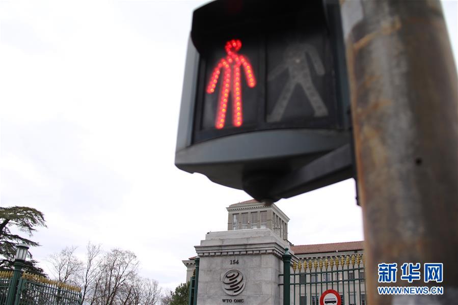 (國際·圖文互動)(4)誰讓“WTO皇冠上的明珠”黯然失色