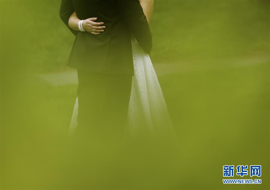 （國(guó)際&middot;年終報(bào)道）（13）2019，精&ldquo;彩&rdquo;紛呈