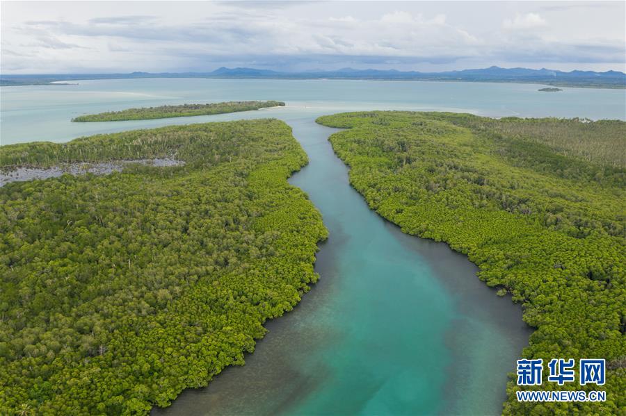 （國際&middot;海外中國人追夢故事）（2）李嘉文：我在印尼當&ldquo;島主&rdquo;