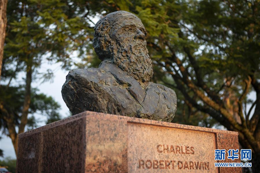 （國際&middot;圖文互動(dòng)）（1）通訊：一位中國雕塑家與拉美的不解情緣