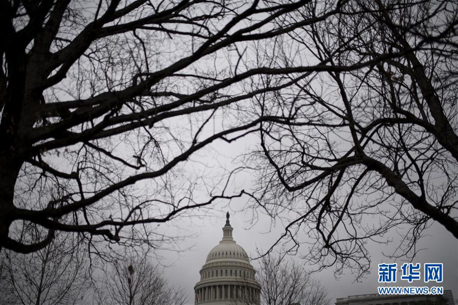 (國際)(3)美國會(huì)參議院否決針對(duì)特朗普的彈劾條款