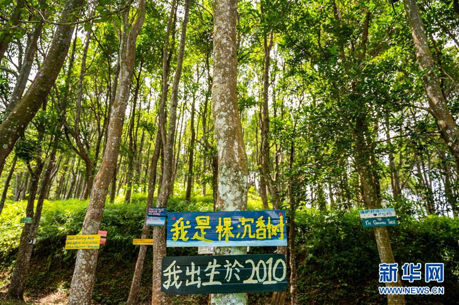 （第三屆進(jìn)博會(huì)&middot;圖文互動(dòng)）（10）專訪：進(jìn)博會(huì)提供了一個(gè)共享中國(guó)發(fā)展機(jī)遇的平臺(tái)