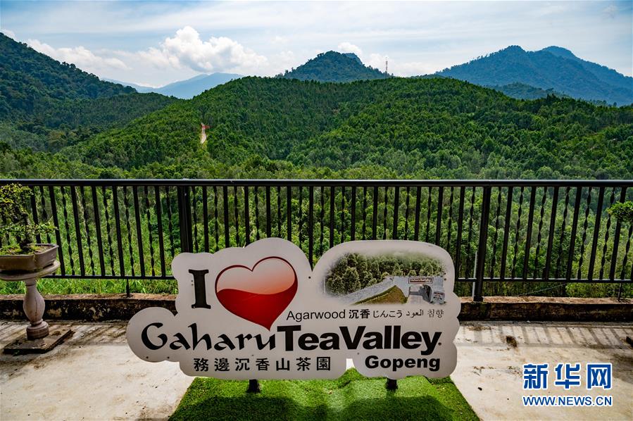 （第三屆進(jìn)博會(huì)&middot;圖文互動(dòng)）（11）專訪：進(jìn)博會(huì)提供了一個(gè)共享中國(guó)發(fā)展機(jī)遇的平臺(tái)