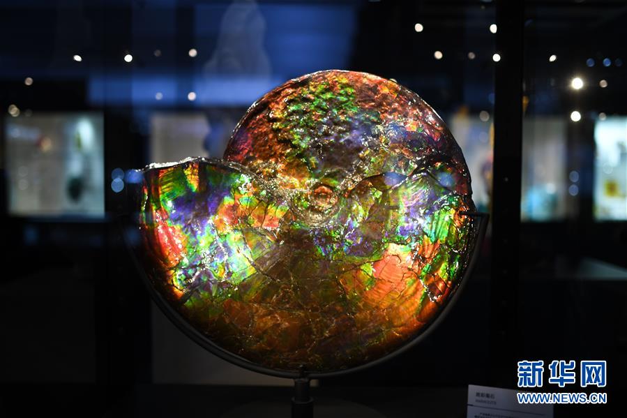 （第三屆進(jìn)博會(huì)&middot;新華視界）（1）觀展體驗(yàn)：多彩&middot;絢爛&middot;未來(lái)感