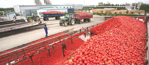 中國(guó)推動(dòng)構(gòu)建共贏、互信、發(fā)展的新絲綢之路