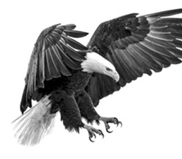 誰是世界秩序的真正破壞者？