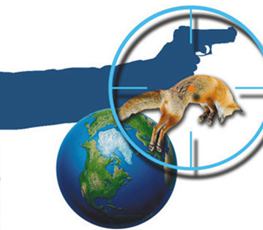 中國全球&ldquo;獵狐&rdquo;戰(zhàn)果豐碩！