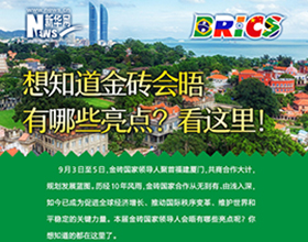 金磚會晤有哪些亮點？看這里！