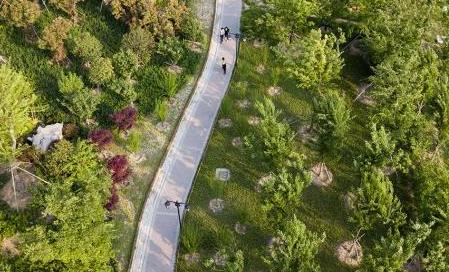 航拍徐州睢寧房灣濕地&ldquo;黃河一路十八彎&rdquo;