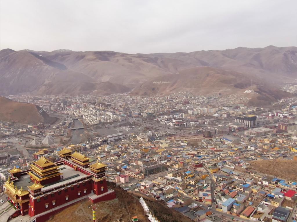 震后11年，玉樹正芳華