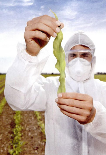 轉(zhuǎn)基因&ldquo;轉(zhuǎn)&rdquo;的是什么？